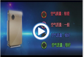 &#31859;&#20848;&#31449;&#32593;&#39029;&#29256;&#45;&#31859;&#20848;&#40;&#20013;&#22269;&#41;
