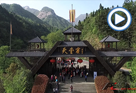 &#31859;&#20848;&#31449;&#32593;&#39029;&#29256;&#45;&#31859;&#20848;&#40;&#20013;&#22269;&#41;