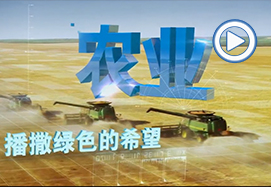 &#31859;&#20848;&#31449;&#32593;&#39029;&#29256;&#45;&#31859;&#20848;&#40;&#20013;&#22269;&#41;